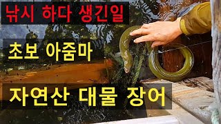 낚시 사고 초보 아줌마 대물 장어를 낚았지만 어떡하다 ?? 낚시 사고 초보 아줌마 대물 장어를 낚았지만 어떡하다 ??