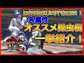 【MHRサンブレイク】属性棍の時代到来!各属性のオススメ操虫棍を一挙紹介&解説!