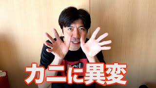 カニに異変あり！