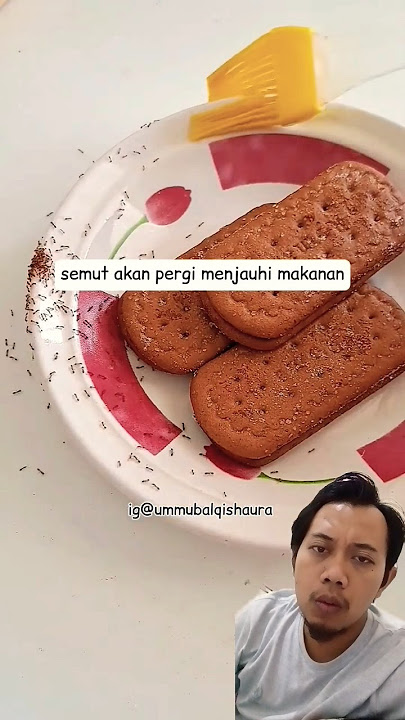 Cara mengusir semut di makanan yang aman