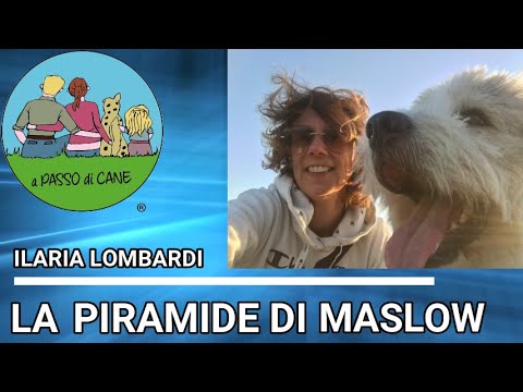 Ilaria Lombardi: cos&rsquo;è la piramide di Maslow? Perchè è utile conoscerla per il mio cane?