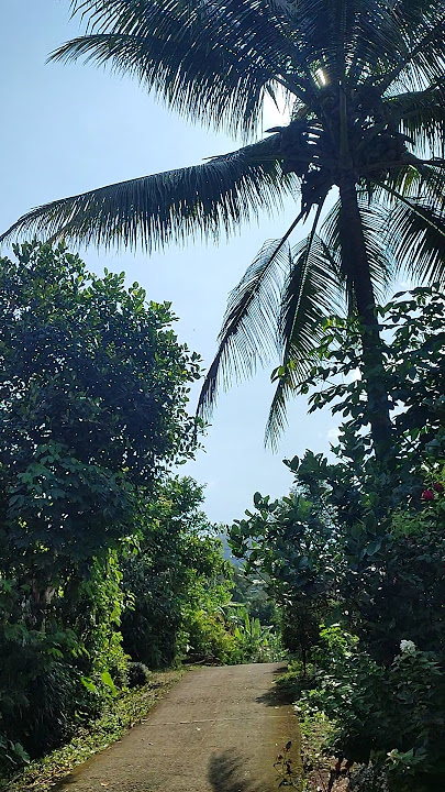 #mentahan #footage #edit