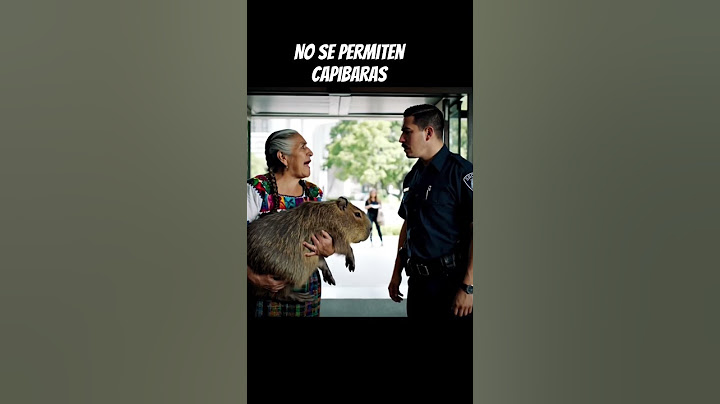 No la dejan entrar con su mascota. #capibara #humor #fyp