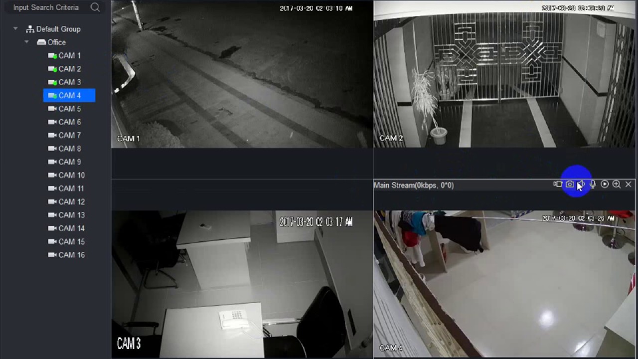 dahua online camera view