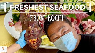 The Place Where The Freshest Seafood Comes From - Making Sushi From Kochi Seafood