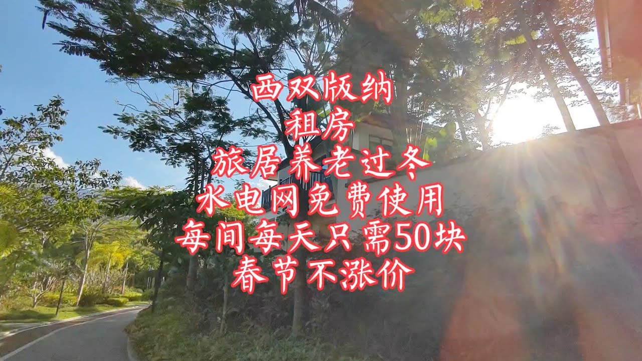 【小龙在版纳】西双版纳，租房旅居养老过冬，每间每天只需50块。2023-11-1 - YouTube