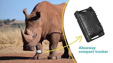 Abeeway Compact Tracker, solution for wild animals, cattle track and trace over long distances