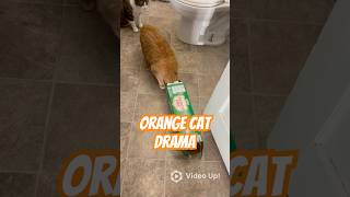 Simon Cat Needs Help