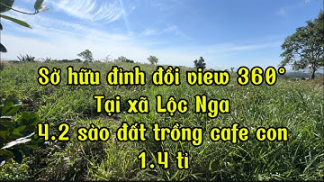 Sở hữu 4.2 sào vườn trên đỉnh view 360° chỉ 1.4 tỉ tại Lộc Nga-Bảo Lộc➡️Đất bằng hoàn toàn trên đỉnh