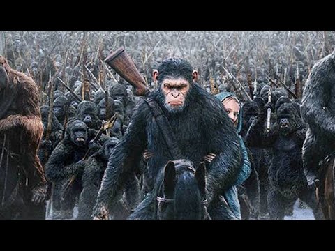 Vídeo: Fuga Do Macaco • Página 2