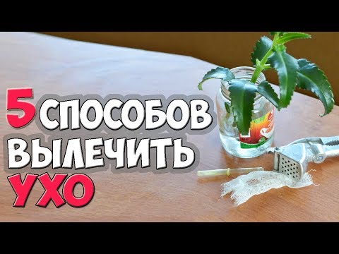 Как лечить ухо? ✅5 способов избавиться от боли в ухе