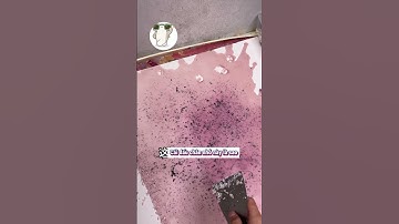 Rồi Su Shi ra là xác định luôn nghen  #funny  #haihuoc