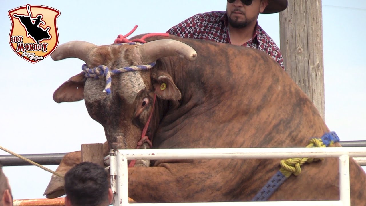 !!Martinez Ranch La 1de Texas¡¡ llega al Sheriffs Posse Grounds