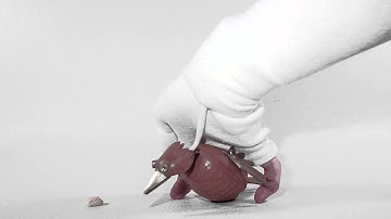 Hand puppet/stop-motion hybrid