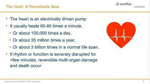High-Throughput Assessment of Compound-Induced Cardiotoxicity Using Human iPSC-Derived Cardiomyocyte