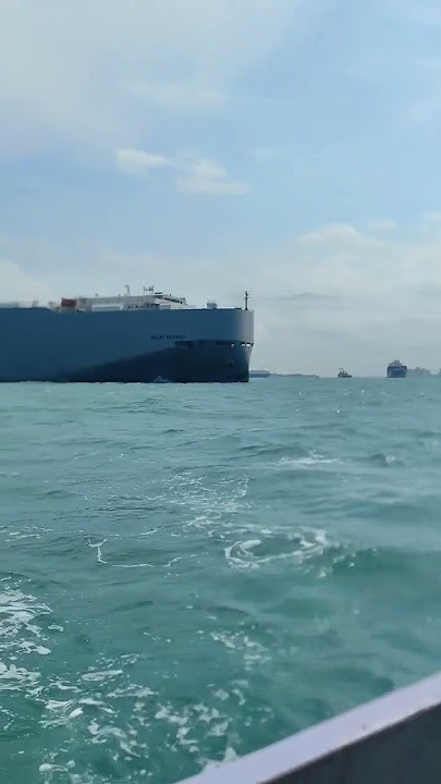 RORO Ship .. used to carry vehicles.. #ship #singapore #travel #navy #anchor #beautiful #day #fog