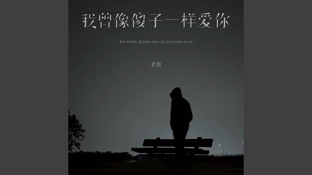 我曾像傻子一样爱你 (DJEva版)