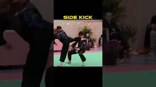 Side kick Tutorial Resimi