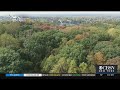 Botanical Garden New York Halloween