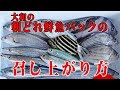 大和の朝どれ鮮魚パックの召し上がり方！（魚/さばく/さばき方/漁師のさばき方技）