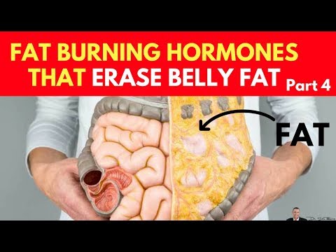 🍽️-clinically-proven:-increase-fat-burning-hormones-to-erase-belly-fat---part-4---by-dr-sam-robbins