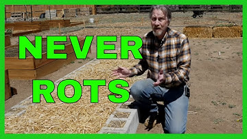 Make a Cinder Block Raised Bed