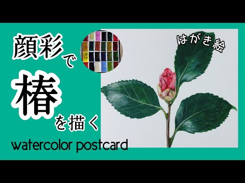 顔彩の使い方】椿の花（一子侘助）【イラストメイキング】 - YouTube