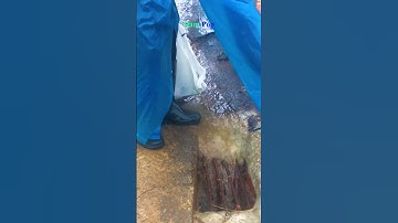 Unclogging the Blocked Drain #shorts