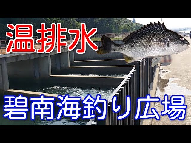 碧南海釣り広場の釣り場ポイントを紹介 サビキで回遊魚狙いおすすめ 愛知釣り場 Youtube 碧南海釣り広場の釣り場ポイントを紹介 サビキで回遊魚狙いおすすめ 愛知釣り場 Youtube