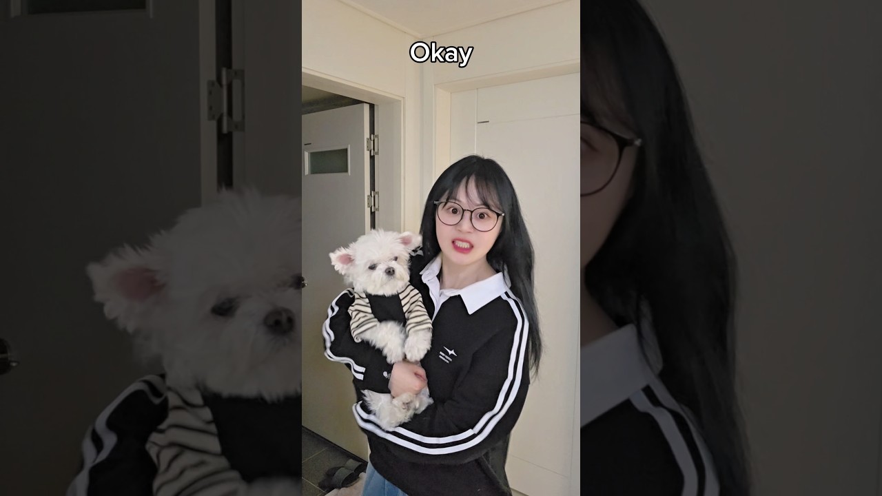 그를 화나게 하지 마세요😱🔪Don't make him mad #funny #TeamYELLOWHAT