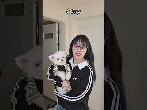 그를 화나게 하지 마세요😱🔪Don't make him mad #funny #TeamYELLOWHAT