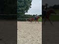 silnik w gyacie się odpalił😝 #ytshorts #horse #yt #dc #fyp