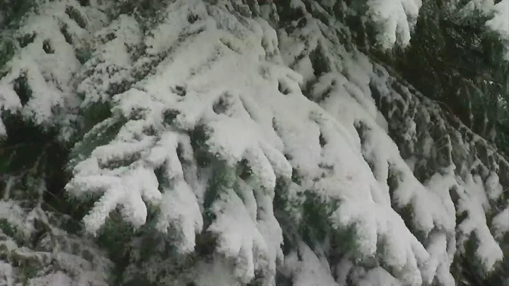 Spring Storm Dumps Snow On Southeastern Minnesota
