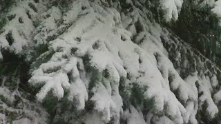 Spring Storm Dumps Snow On Southeastern Minnesota
