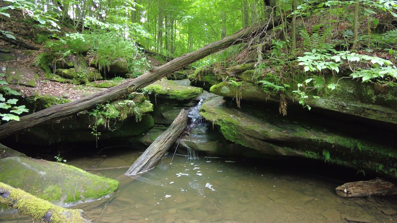 Hidden Gem- Ohio- Dundee Falls