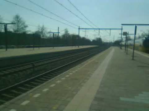 Treinen kijken bij Station de Vink Leiden