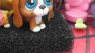 Lps Универ сезон 1 серия 4 "Лучшая домохозяйка" Lps Универ сезон 1 серия 4 "Лучшая домохозяйка"