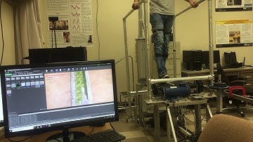 Real time joint angle calculation using motion capture system