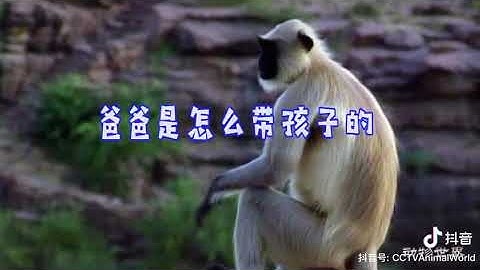 母爱如水，父爱如山