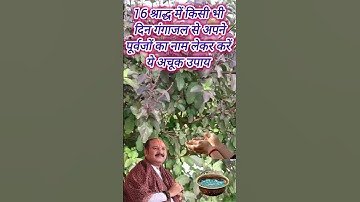 🌼16 श्राद्ध में किसी भी दिन गंगाजल से अपने पूर्वजों का नाम लेकर करें ये अचूक उपाय 🌼