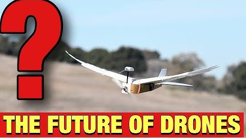 Take a look at this apocalyptic killer Drone dystopia which looks like pigeon[PigeonBot]