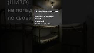 🔒 Не ломайся, первоход! Почему ШИЗО — это ад и как туда не загреметь