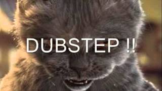 Soft Kitty DUBSTEP !!! screenshot 2