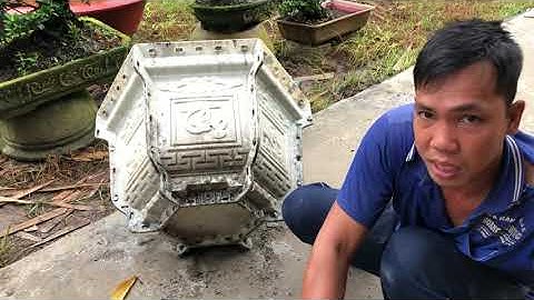 Cách lấy lòng trong chậu lục giác 60 .trong30 giây đơn giản