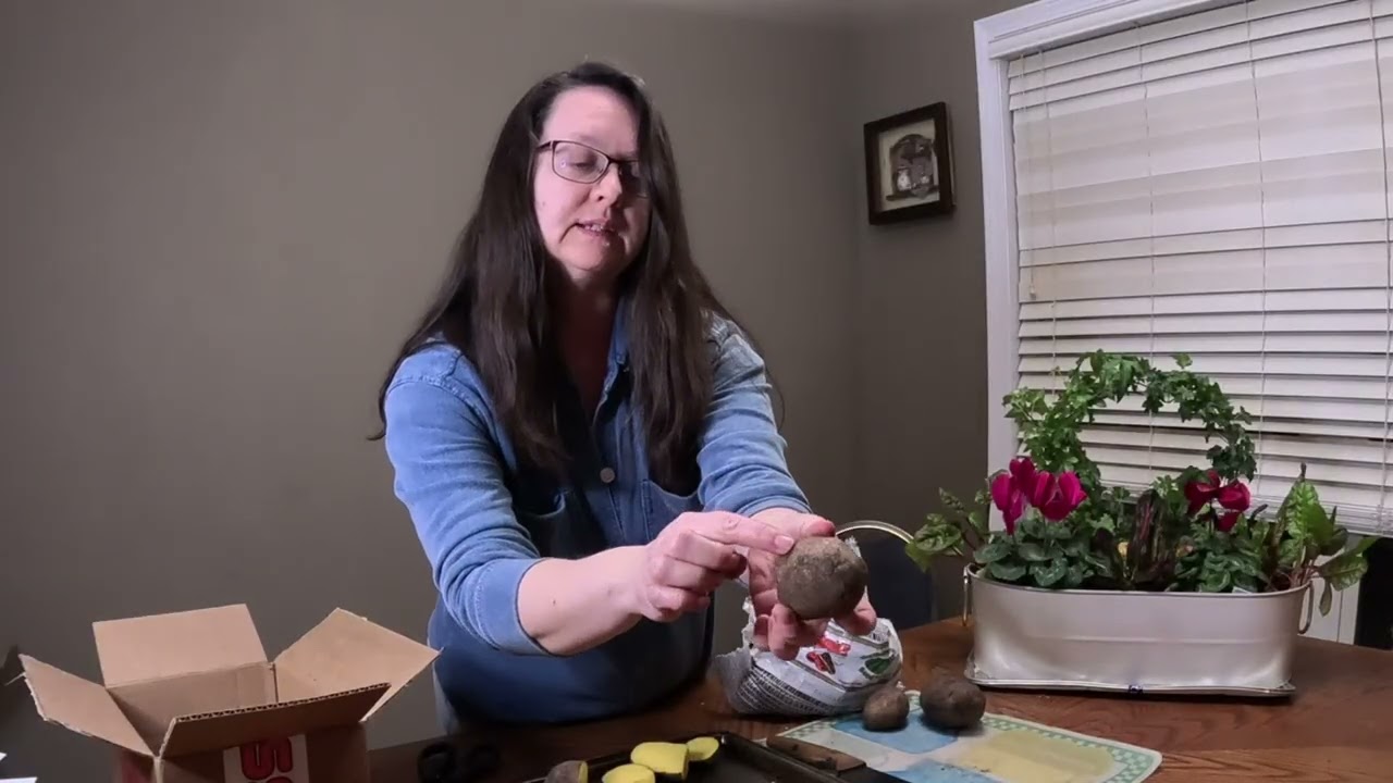 Planting Potatoes for a Big May Harvest | Easy Spring Garden Guide 🌱🥔 zone 8
