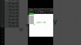 combinacion de teclas #davidcorderoexcel #fpy #negocios #parati #viral #exceltips #tutorial