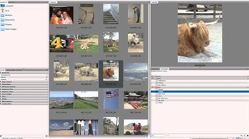 Photoshop Tutorial:  Using Keywords in Adobe Bridge