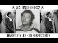 HARRY STYLES - 28 PERFECT BITS - waiting for HS2