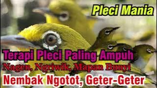 MASTERAN PCMI TERBARU BIKIN NEMBAK MOLORRR
