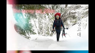 [4K] Overnight at the fairy shelter along with snowy trail_23km#Elfin lakes shelter